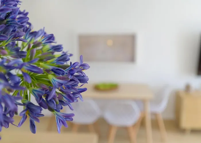 Apartment Casa Anzuelo, Puerto del Carmen (Lanzarote)