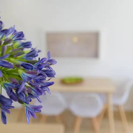 Apartment Casa Anzuelo, Puerto del Carmen (Lanzarote)